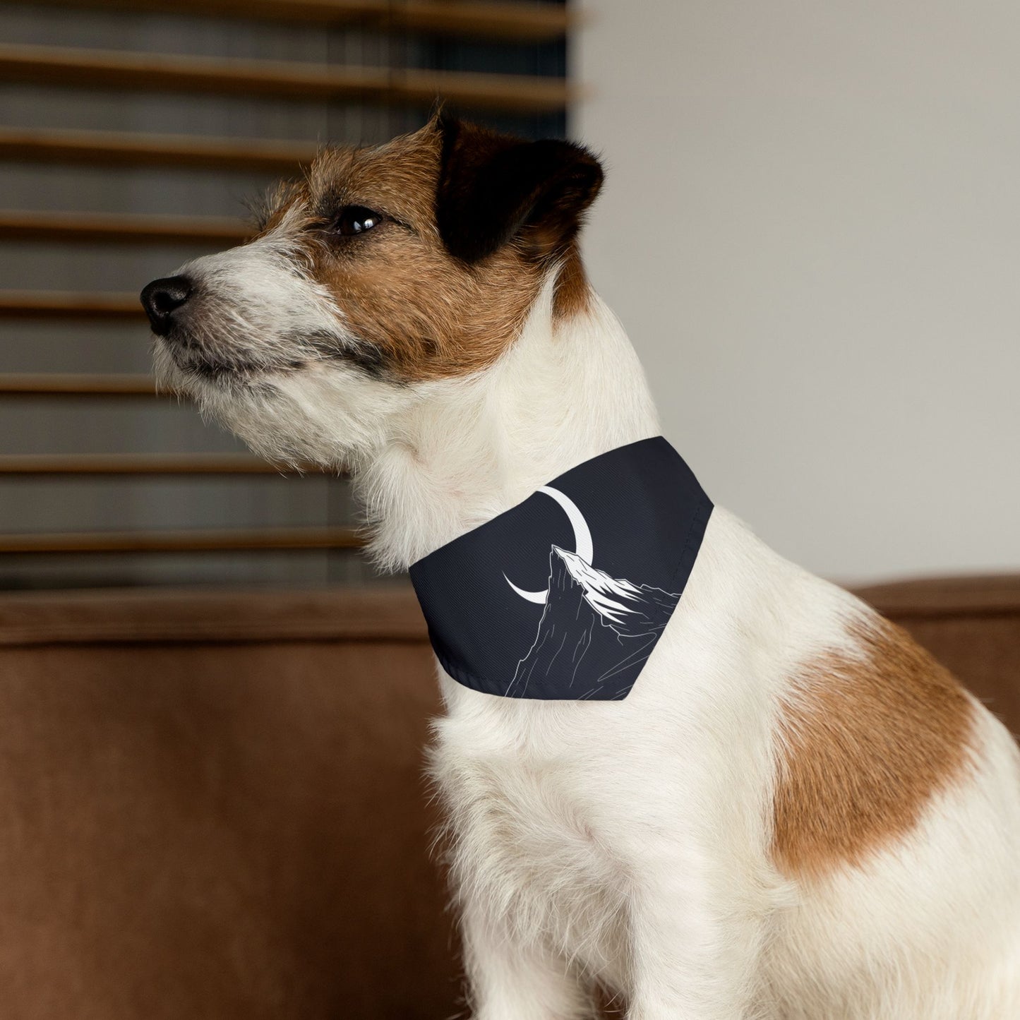 Premium Custom Pet Bandana with Photo - Luxury Designer Style