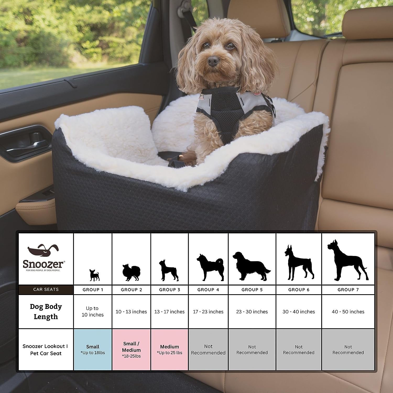 Lookout I Dog Car Seat - Small Dog & Puppy Car Seat, Booster Bed for Small & Medium Size Pets up to 25 Lbs, Elevated, Washable - Medium