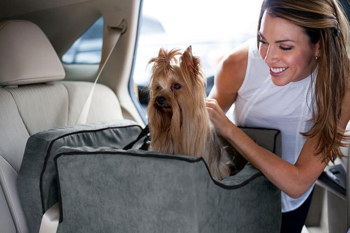 Lookout I Dog Car Seat - Small Dog & Puppy Car Seat, Booster Bed for Small & Medium Size Pets up to 25 Lbs, Elevated, Washable - Medium