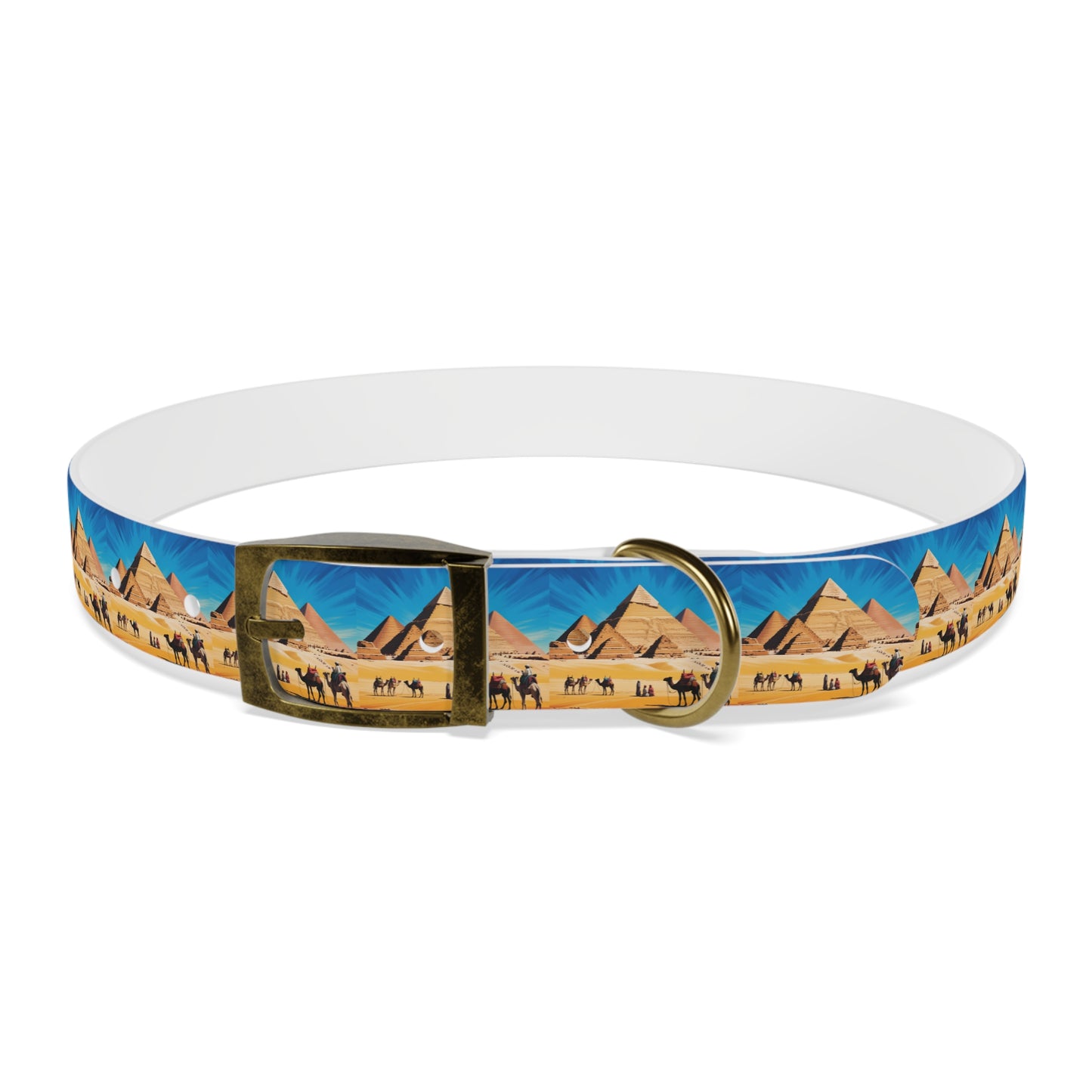 🏆 AWARD-WINNING Custom Dog Collar with Photo - Premium Safety & Style