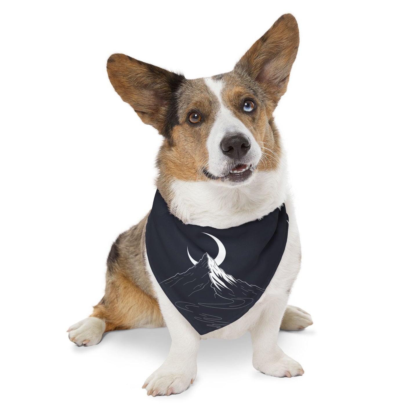 Premium Custom Pet Bandana with Photo - Luxury Designer Style