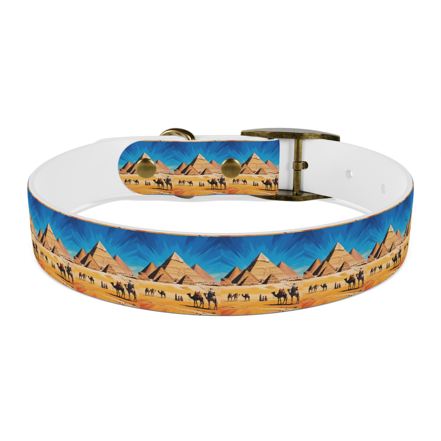 🏆 AWARD-WINNING Custom Dog Collar with Photo - Premium Safety & Style