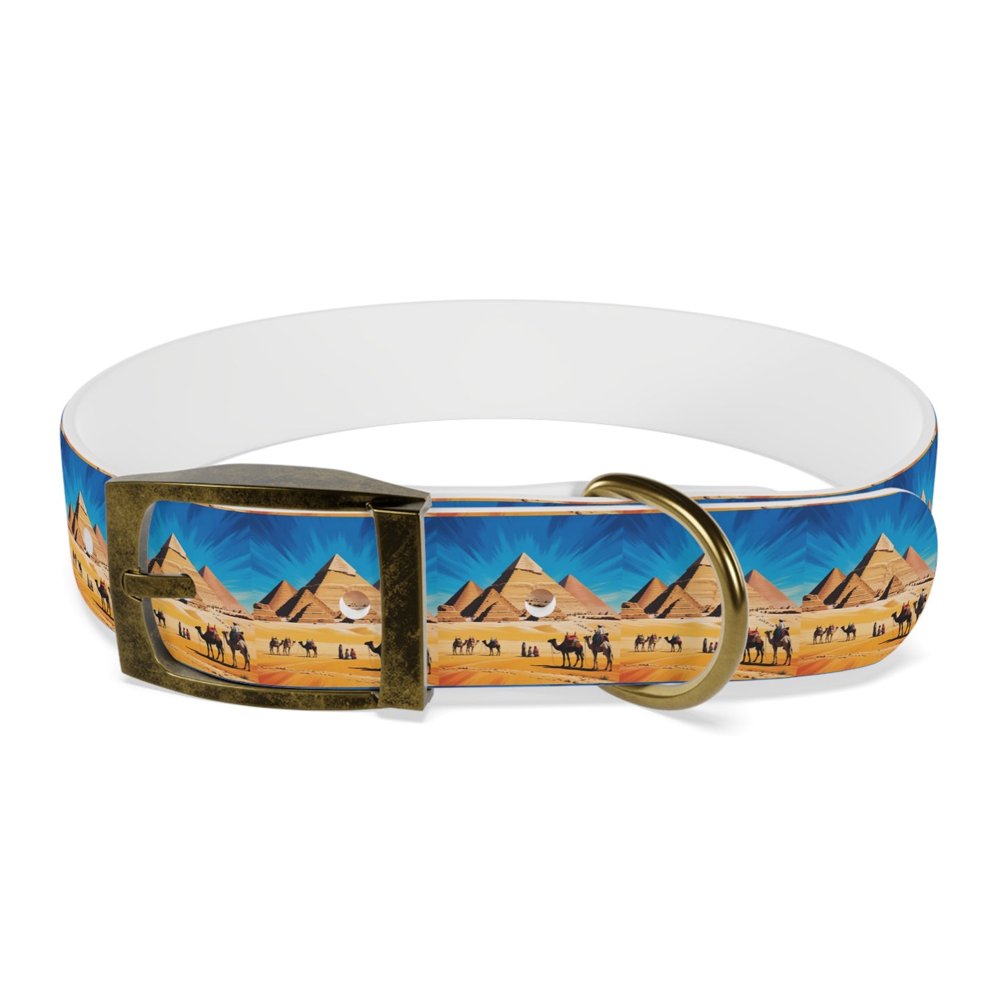 🏆 AWARD-WINNING Custom Dog Collar with Photo - Premium Safety & Style