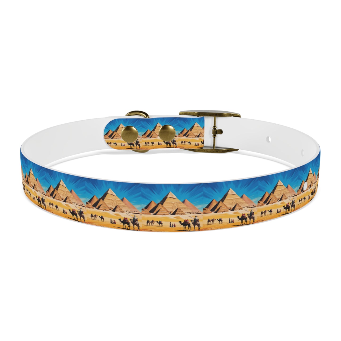 🏆 AWARD-WINNING Custom Dog Collar with Photo - Premium Safety & Style