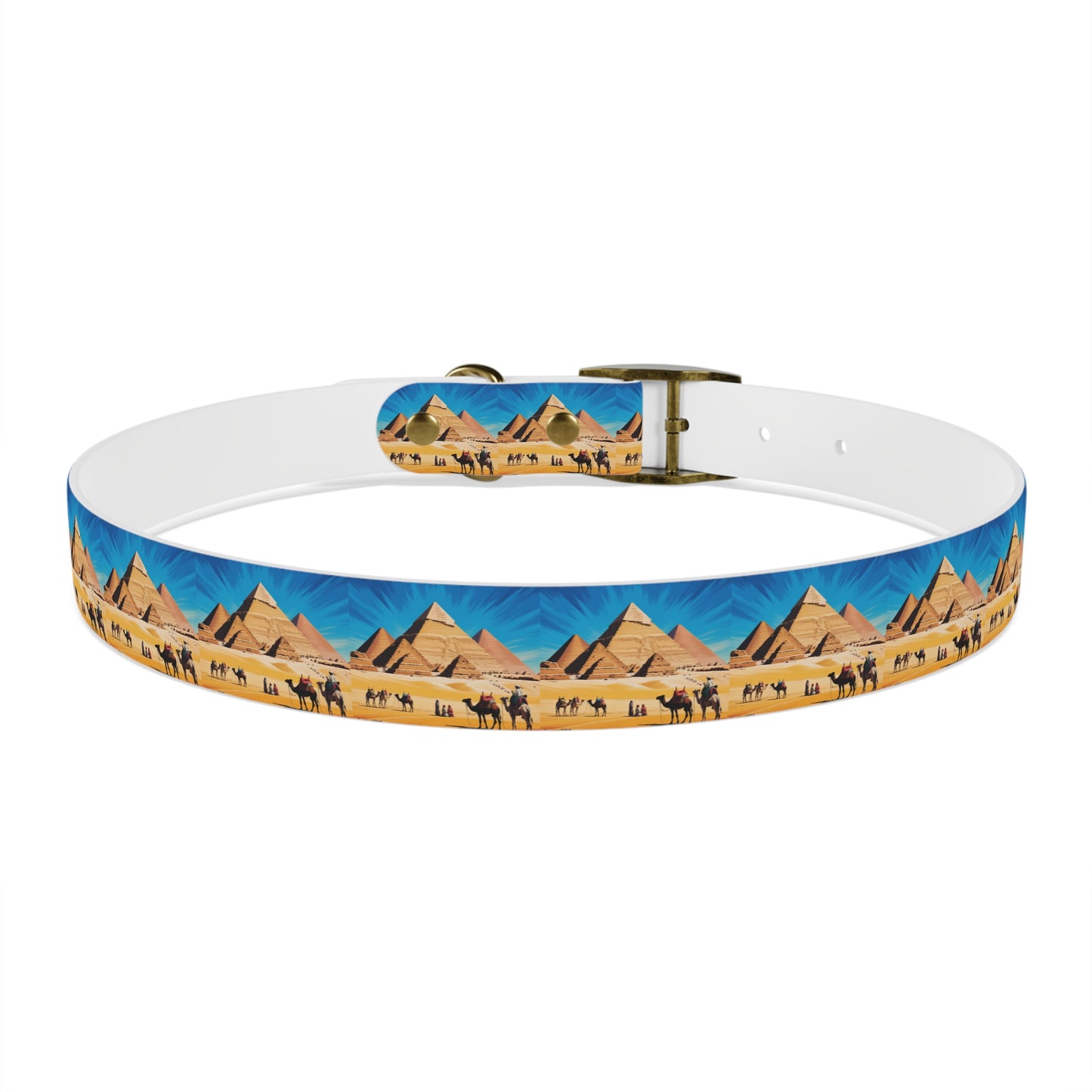 🏆 AWARD-WINNING Custom Dog Collar with Photo - Premium Safety & Style