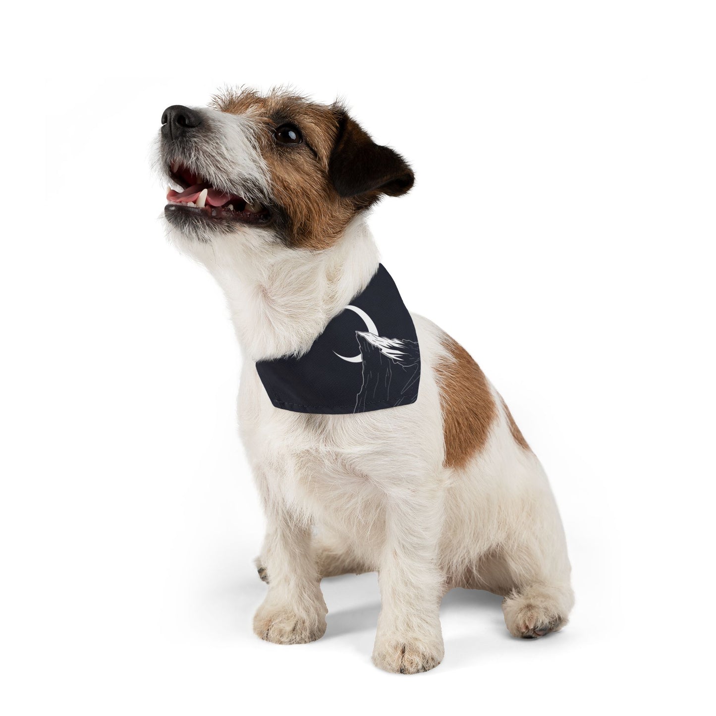 Premium Custom Pet Bandana with Photo - Luxury Designer Style