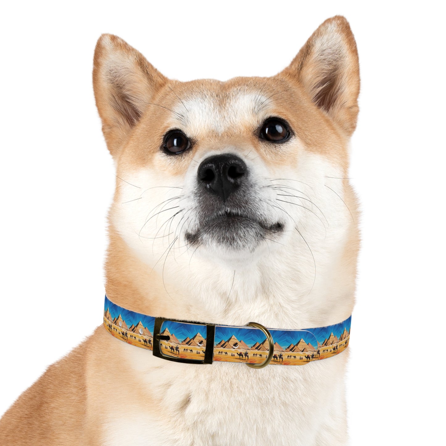 🏆 AWARD-WINNING Custom Dog Collar with Photo - Premium Safety & Style
