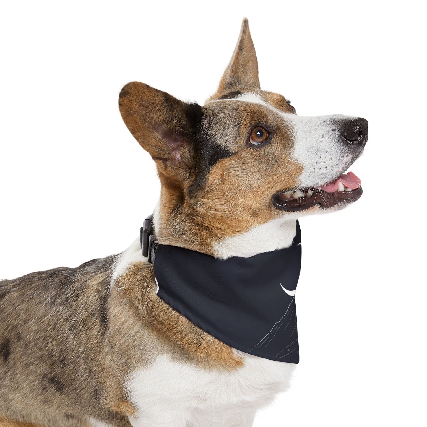 Premium Custom Pet Bandana with Photo - Luxury Designer Style
