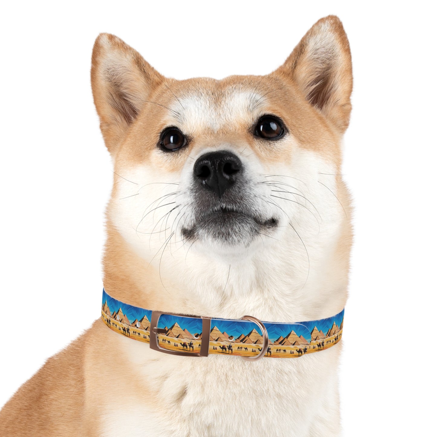 🏆 AWARD-WINNING Custom Dog Collar with Photo - Premium Safety & Style