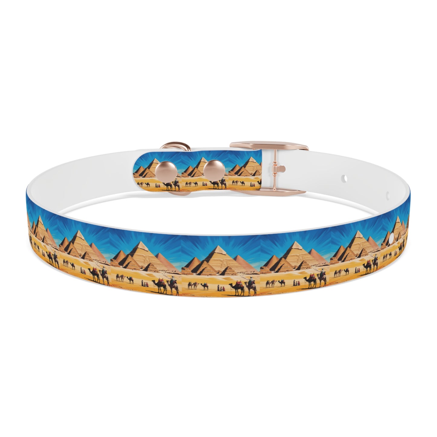 🏆 AWARD-WINNING Custom Dog Collar with Photo - Premium Safety & Style